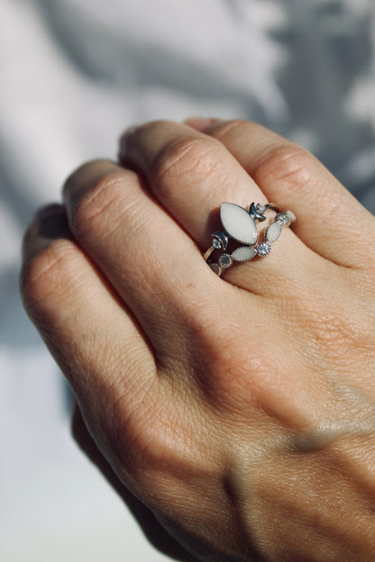 Halley Ring
